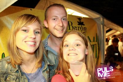 Fêtes de la Musique au Parc ! - Gallerie photo #212
